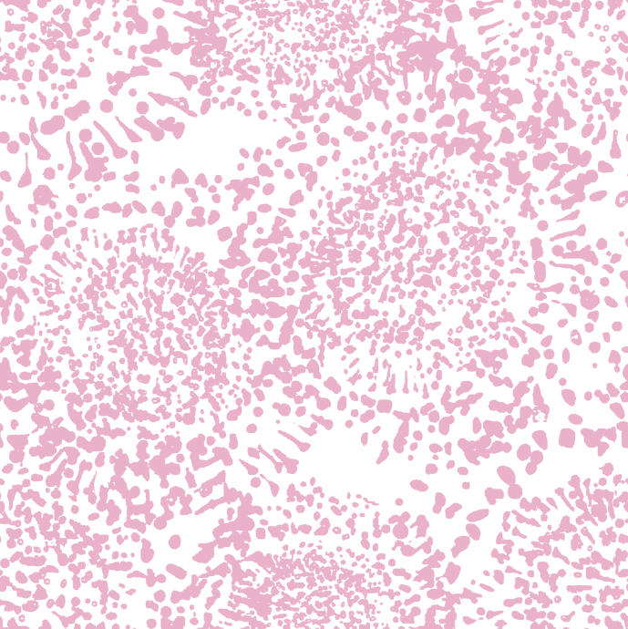 Wonders - Sweet Pink
